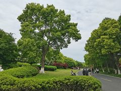 -郑和公园