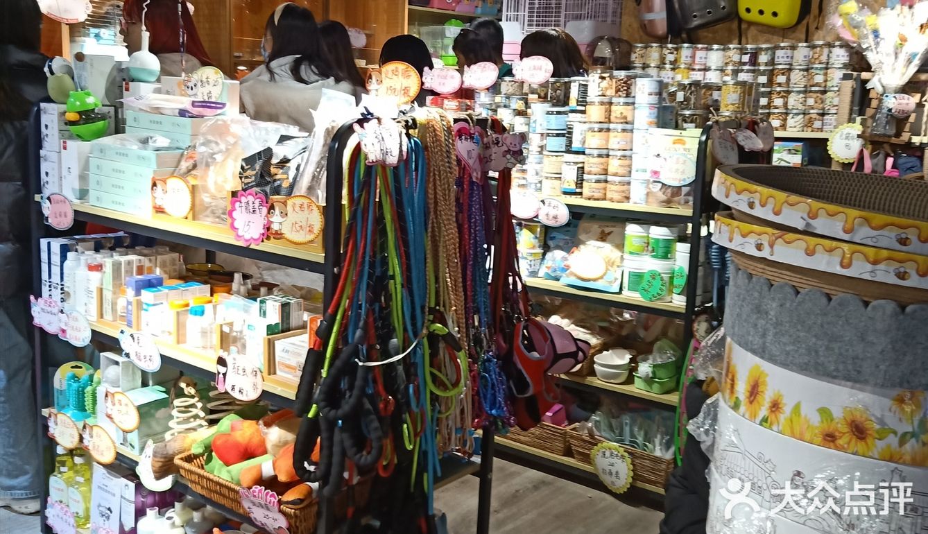 艾玛的萌宠屋位于南开大悦城五号车库内，店里面有仓鼠