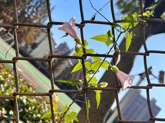 -上海市材料工程学校