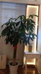 点击看大图 -茜尔维亚修身连锁(庆春银泰店)
