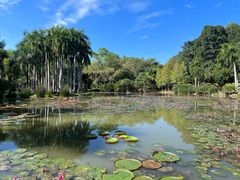 -中国科学院西双版纳热带植物园