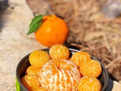 -树山生态村