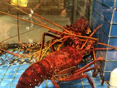 -聚福宝合苑食府(南头镇店)