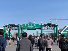 -荷兰花海