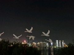 -秋水广场音乐喷泉