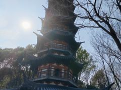 -上海佘山国家森林公园西佘山园