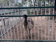 -广东花都香草世界旅游度假区