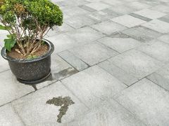 -飞洲国际广场