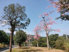 -中国移动南方基地