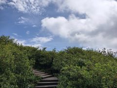 -大围山国家森林公园
