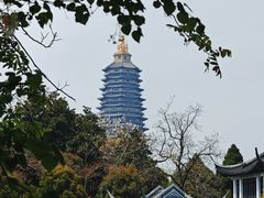 -红梅公园