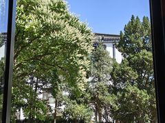 景观位-菩提树下茶咖鼓捣