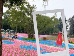 -海上田园