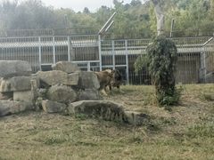 -苏州上方山国家森林公园