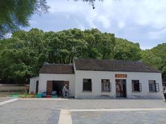 -同里国家湿地公园