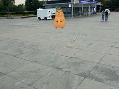 -鸡打鸣熏鸡系列(总店)