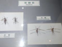 -上海昆虫博物馆