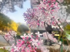 -宝山日月光中心