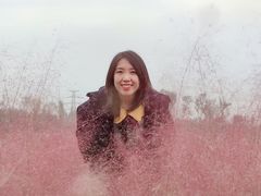 -白鹭湾湿地公园