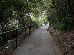 -南丫岛