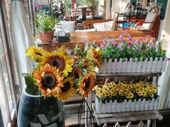 -阳光家常菜游客餐厅(千佛山店)