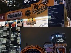 -陆家嘴中心绿地