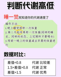 -Fundi张玉珊修身堂·indiba·BTL科技瘦身