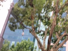 -唐杰口腔(富都广场店)