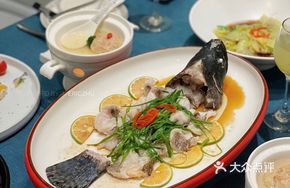 Lime Grouper