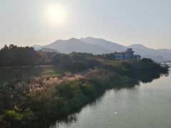 -福建鲤鱼洲酒店