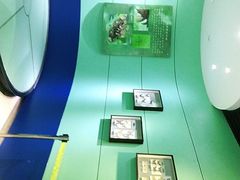 -上海昆虫博物馆