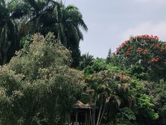 -滴水岩森林公园