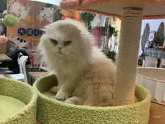 -小时光咖啡馆(北锣鼓巷店)