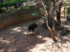 -昆明动物园