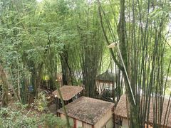 -竹海听涛生态山庄