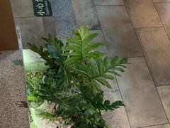 -首秀·四川料理(星耀101店)
