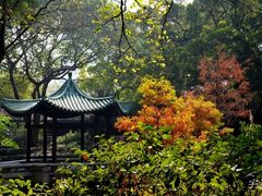 -九龙公园
