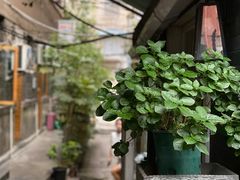 景观位-花楸树下(观水路店)