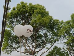 -龙坞茶村