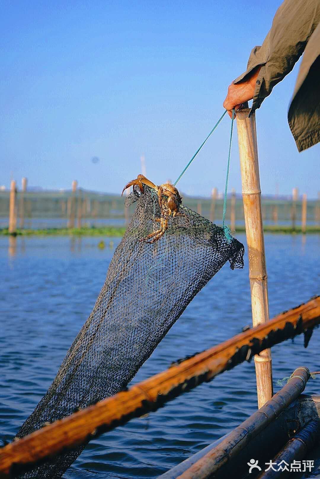 苏州探店｜在庭院里体验沉浸式吃蟹和农家乐[加油]