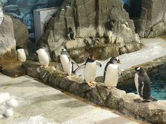 -成都浩海立方海洋公园