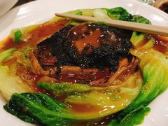 -岭南海晏楼(东晓南店)
