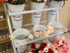 -海底捞火锅(泰安爱琴海店)