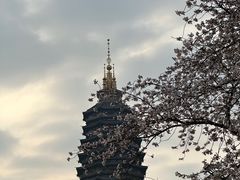 -红梅公园