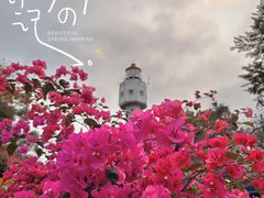 -花乐餐厅(涠洲岛店)