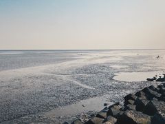 -南汇嘴观海公园