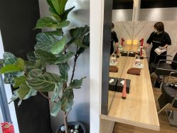 点击看大图 -Garden花園造型