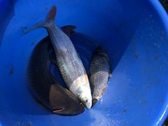 -烟水渔庄餐厅(西溪湿地店)