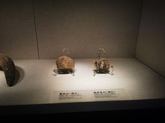 -四川宋瓷博物馆