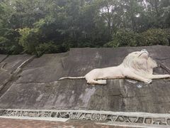 -哈尔滨北方森林动物园